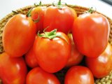 Giống cà chua hữu hạn Trang Nông